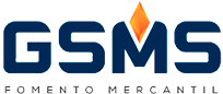 logo__GSMS